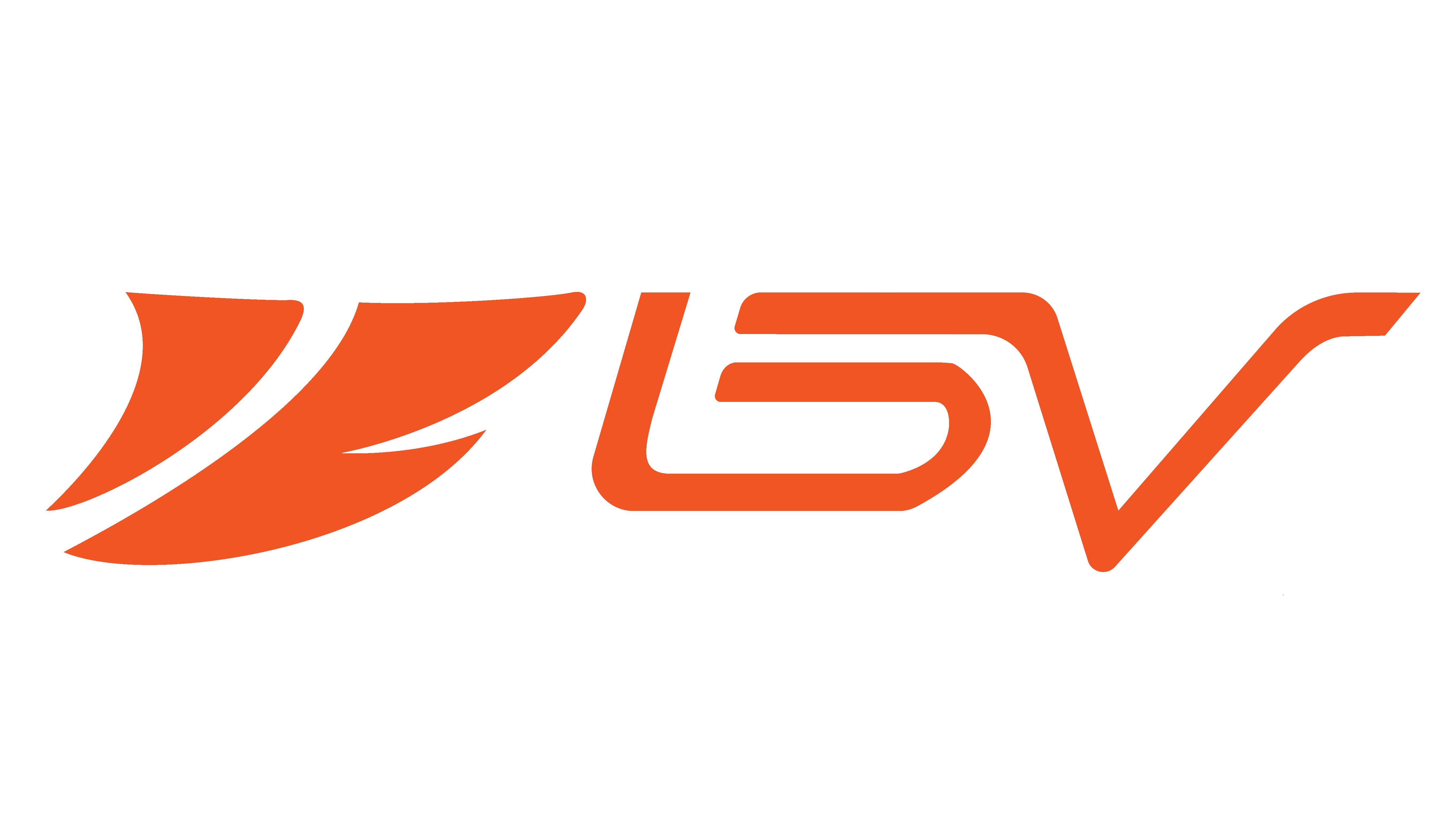 BV USA Logo Logo Orange