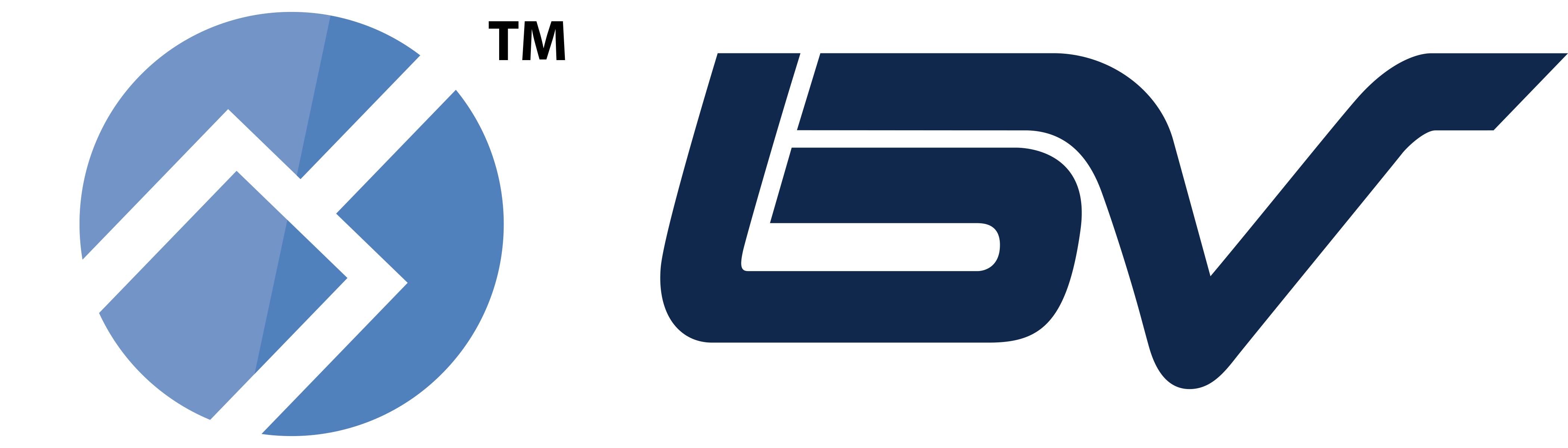 BV Security Logo